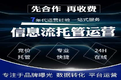 竞价推广实战：经典案例深度解析